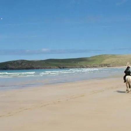 فيلة Ballyness Bay فلاكارّاغ